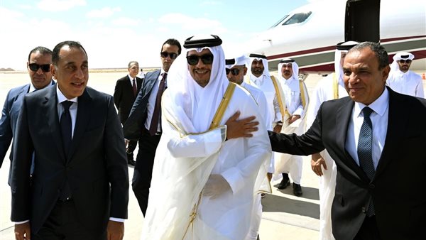 رئيس الوزراء يستقبل