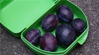 كيفية معالجة مخاطر الأوعية البلاستيكية على الصحة