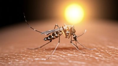 وسط تفشٍ عالمي.. تحذيرات من أمراض ينقلها البعوض بعد تسببها في وفاة 33 شخصًا بـ كوبا 