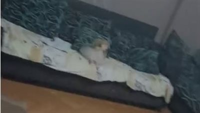 مهندس بترول بشركة بتروجيت يتهم زوجته وشقيقها بالتعدي عليه ببولاق الدكرور