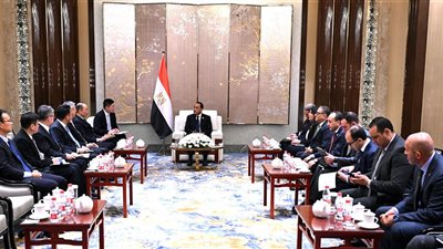 رئيس الوزراء: الدولة توفر الكثير من المزايا والحوافز للمستثمرين الأجانب والمحليين