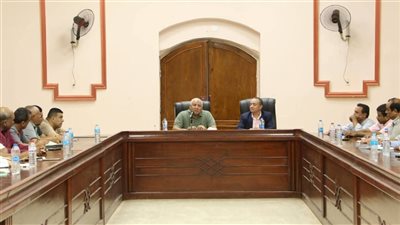 محافظ الوادي الجديد: دراسة تنفيذ مبادرة للتخلص من مخلفات النخيل