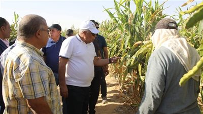 محافظ الوادي الجديد يتابع نجاح تجربة زراعة فاكهة 