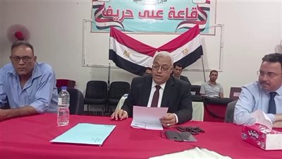 نتيجة جولة الإعادة بانتخابات مجلس الشيوخ بالوادي الجديد