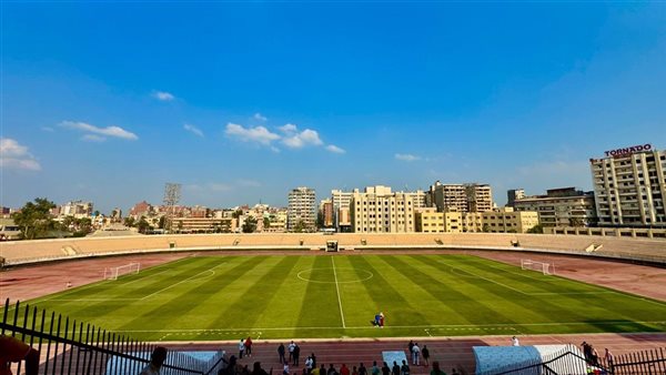 استاد المنصورة