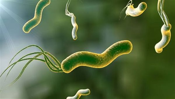 ما هي جرثومة المعدة