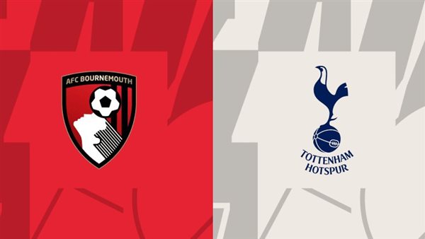 بث مباشر مباراة توتنهام