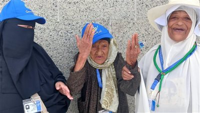 بعد استجابة صناع الخير.. أكبر معمرة بالفيوم تطعم الحمام بجوار المسجد النبوي