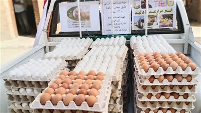 منها اللحوم والدواجن.. الزراعة: أقمنا 143 منفذا متحركا لبيع المنتجات الغذائية بتخفيضات 30% خلال أغسطس