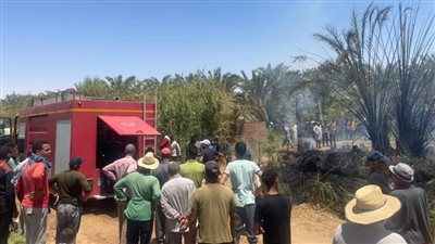 السيطرة على حريق بمزرعة نخيل بالوادي الجديد