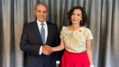 وزير الخارجية يطالب الاتحاد الأوروبي بالضغط على إسرائيل لوقف جرائمها 