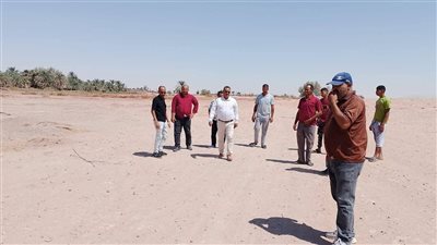 إزالة تعديات على مساحة 80 فدانا من أملاك الدولة في الوادي الجديد| صور