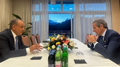 ناقشا خفض التصعيد في المنطقة.. وزير الخارجية يجتمع مع المدير العام للوكالة الدولية للطاقة الذرية