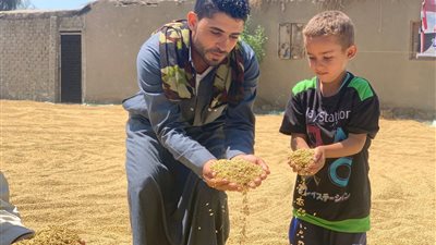 محافظ بورسعيد يشهد حصاد الأرز وسط فرحة المزارعين| صور