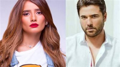 تأجيل الدعوى المقامة من الفنانة زينة ضد أحمد عز بزيادة نفقة توأمها