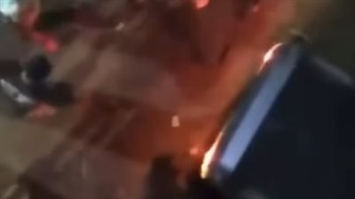 دهسوه بالتوك توك.. فحص أمني لفيديو التعدي على كلب حتى النفوق وسط الشارع