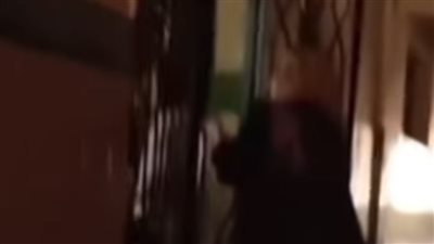 بسبب نقل ابنها.. مشادة بين ولية أمر وإخصائية اجتماعية داخل مدرسة بشبرا الخيمة