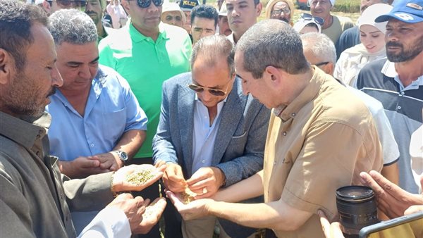 محافظ بورسعيد 