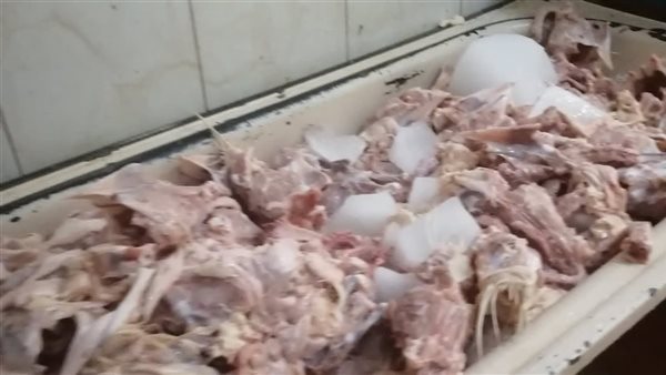 دواجن فاسدة - أرشيفية