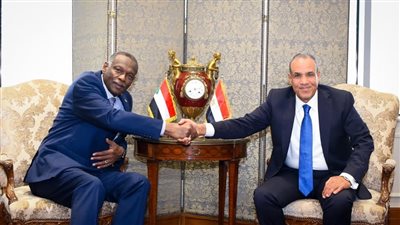 وزير الخارجية يؤكد رفض مصر الكامل لكافة المحاولات الرامية لتهديد وحدة السودان