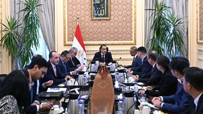 رئيس الوزراء يلتقي رئيس شركة إيليت سولار الصينية المُصنعة لمكونات محطات الطاقة الشمسية والرياح