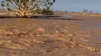 الري: مستعدون لفترة السيول منذ سنوات.. وتحذير للمواطنين بعدم التعدي على مخرات السيول