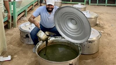 عادة متوارثة منذ 150 عامًا.. أهالي نجع العقاربة بالأقصر يحتفلون بالمولد النبوي بـ الملوخية