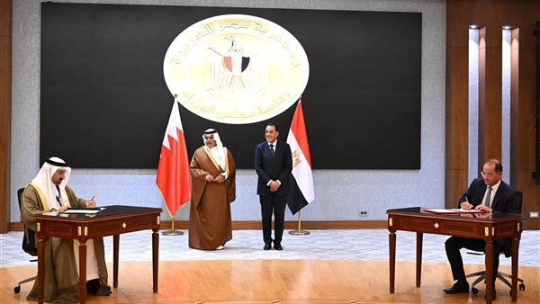 رئيس وزراء مصر وولي