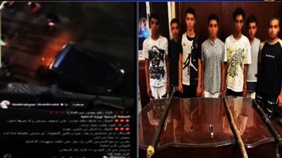 بشوم وأسلحة بيضاء.. ضبط المتهمين بالتعدي على كلب ودهسه بتوك توك في المعادي 