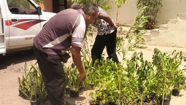 تهذيب الأشجار 