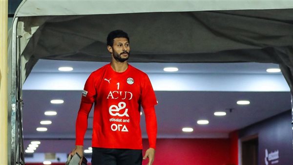 محمد الشناوي