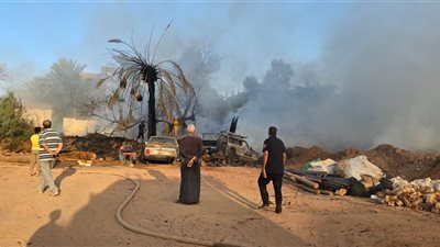 السيطرة على حريق في مزرعة نخيل بالوادي الجديد