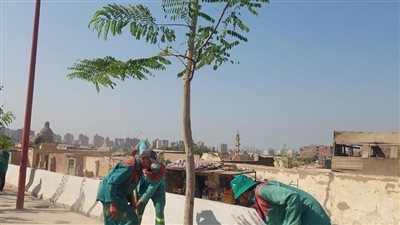 التنمية المحلية: بدء أعمال تشجير محور صلاح سالم الجديد ضمن المبادرة الرئاسية لزراعة 100 مليون شجرة