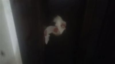 ضبط شخص لانتحاله صفة طبيب داخل مركز نفسي دون ترخيص بالبحيرة