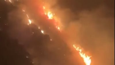 حريق كبير في منطقة الوادي الأخضر جنوب لبنان.. والسلطات تعلن السيطرة 