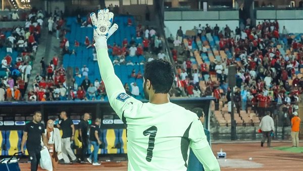 محمد الشناوي