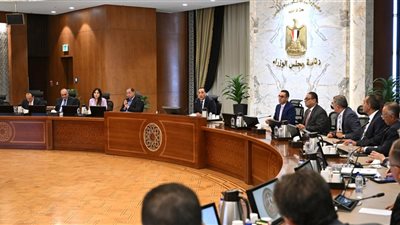 مجلس الوزراء يوافق على إنشاء كلية بنها ووهان للدراسات العليا بجامعة بنها