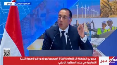 رئيس الوزراء: مصر ضمن أكبر دول العالم في تحويلات مواطنيها بالخارج بـ 36 مليار دولار 