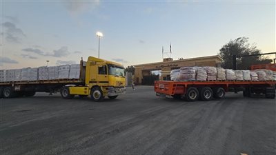 خلال يومين.. عبور 43 شاحنة مساعدات إماراتية معبر رفح تمهيدا لدخولها غزة