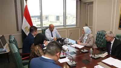 الكهرباء تبحث إنشاء مصنع صيني لمهمات الطاقة الشمسية وتوطين التكنولوجيا في مصر