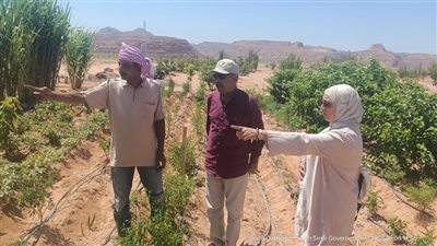 زراعة جنوب سيناء تحتفل بعيد الفلاح.. ووكيل الوزارة يلتقي المزارعين في سانت كاترين