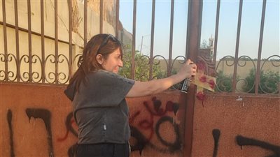 الصحة تغلق مركزين للطب النفسي بالجيزة والدقهلية لمخالفتهما الاشتراطات الصحية والقانونية