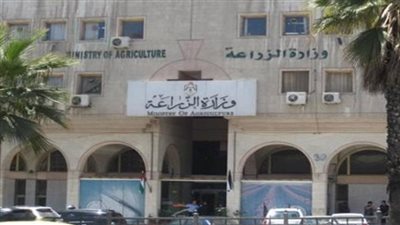 فرص عمل مميزة| وظائف شاغرة بوزارة الزراعة.. الشروط وطريقة التقديم