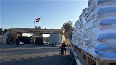 اليوم.. محافظ شمال سيناء يرافق وفد لجنة السياسة الخارجية بالبرلمان الدنماركي خلال زيارته للمحافظة