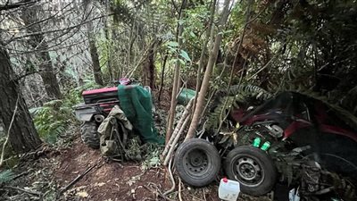 العثور على جثمان أب أخفى أطفاله الثلاثة في غابة بنيوزيلندا