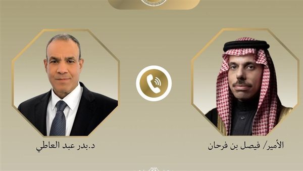 وزيرا خارجية مصر