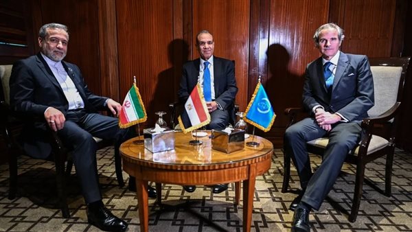 عبد العاطي يتوسط