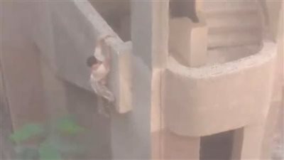 بعد يومين من واقعة إلقاء فتاة نفسها.. الصحة تغلق مركز إشراقة أمل بالجيزة لمخالفاته الصحية والقانونية