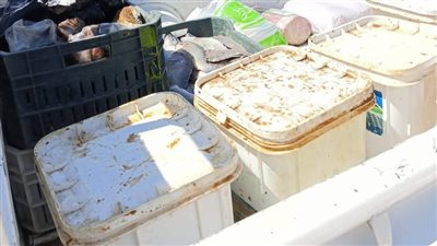 ضبط كمية أسماك ومصنعات غير صالحة للاستهلاك الآدمي في حملة تفتيشية بالقصير