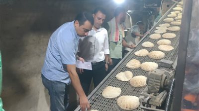 محافظ الدقهلية: حملات موسعة على المخابز استجابة لشكاوى المواطنين